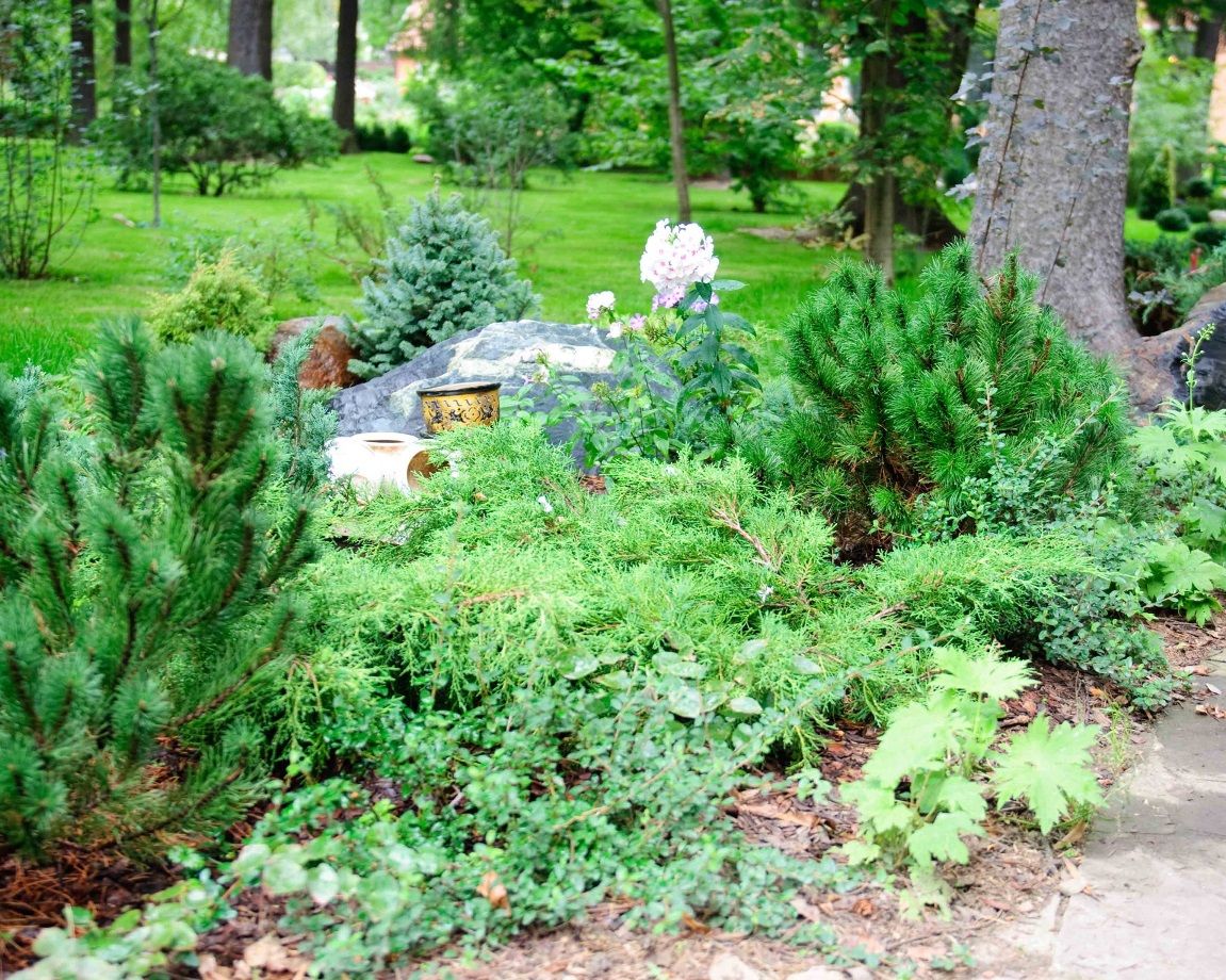 Проект Переделкино